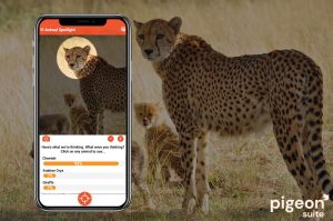 animal-recognition
