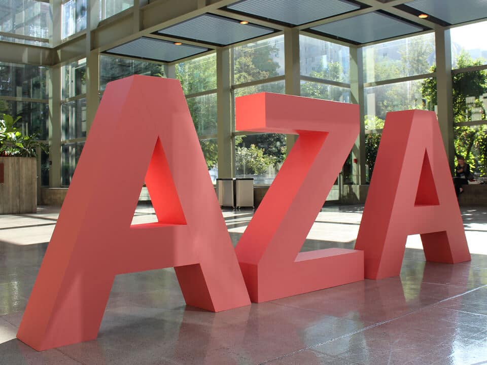 aza letters 2022